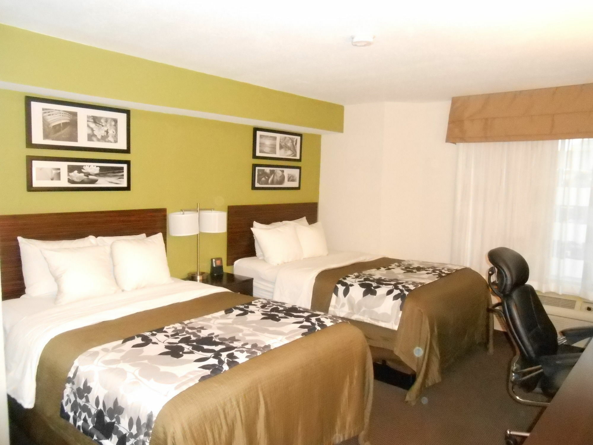 Surestay Plus By Best Western Mesa Superstition Springs Exteriér fotografie