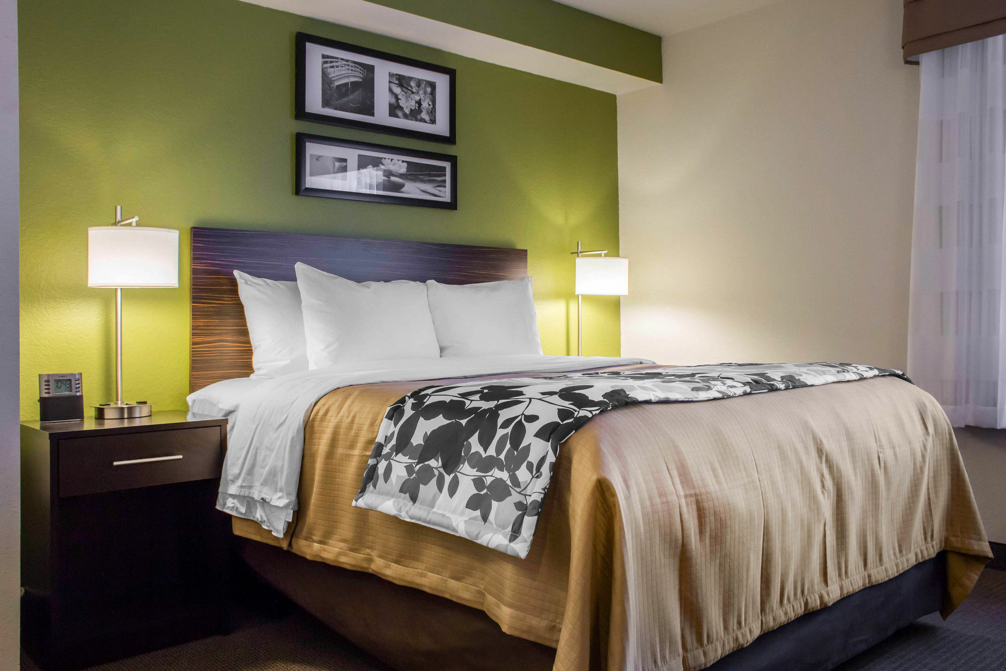 Surestay Plus By Best Western Mesa Superstition Springs Exteriér fotografie